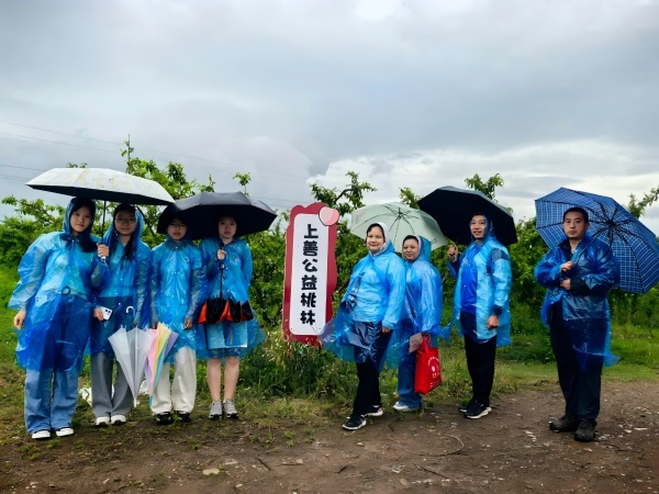 上善公益桃林：大风过后，..